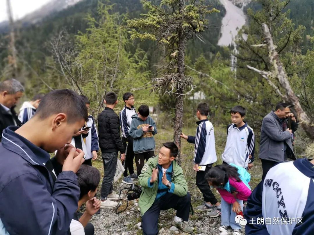 华基金自然学校试点 | 王朗保护区携手古城中学开展“我为家乡而自豪”本土自然教育活动