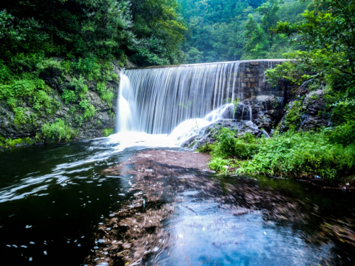 这是7月20日拍摄的山东省邹平县鹤伴山森林公园一景，这里是当地居民生活用水的水源地，也是该县山区小流域水系治理的成果。新华社发（张可荣 摄）