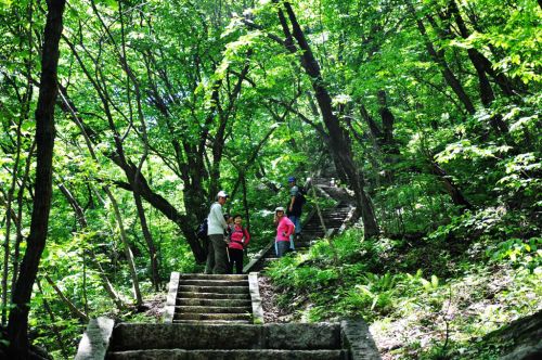 老君山夏日登山游人