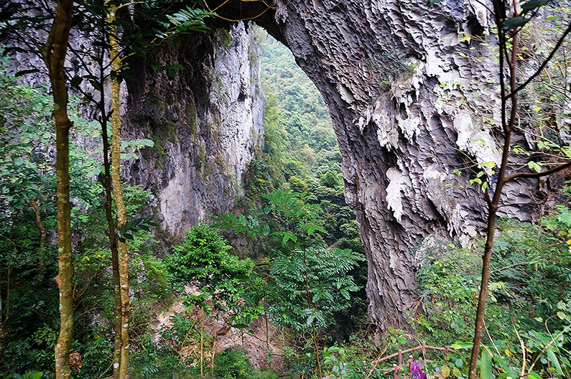 凤山万寿谷景区