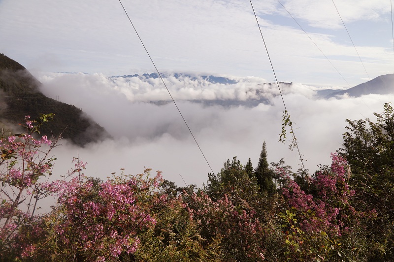 图3：云雾漫峡谷  山花更艳丽   唐探峰摄