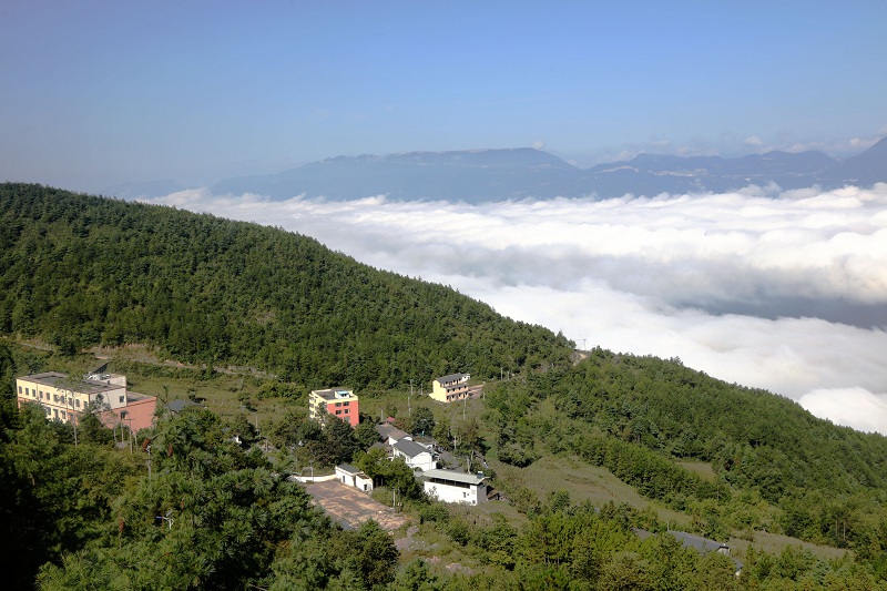 图5：巫山望天坪乡村旅游景区农家乐集群建在生态云海中   唐探峰摄