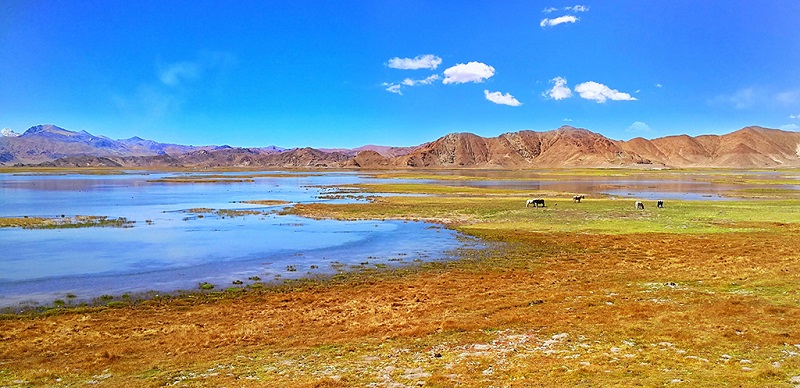 阿里湿地风光