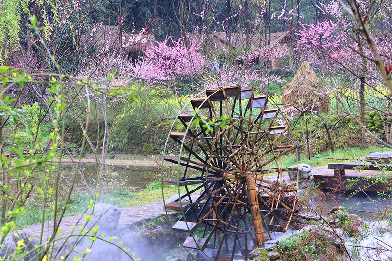 桃花源水车风情