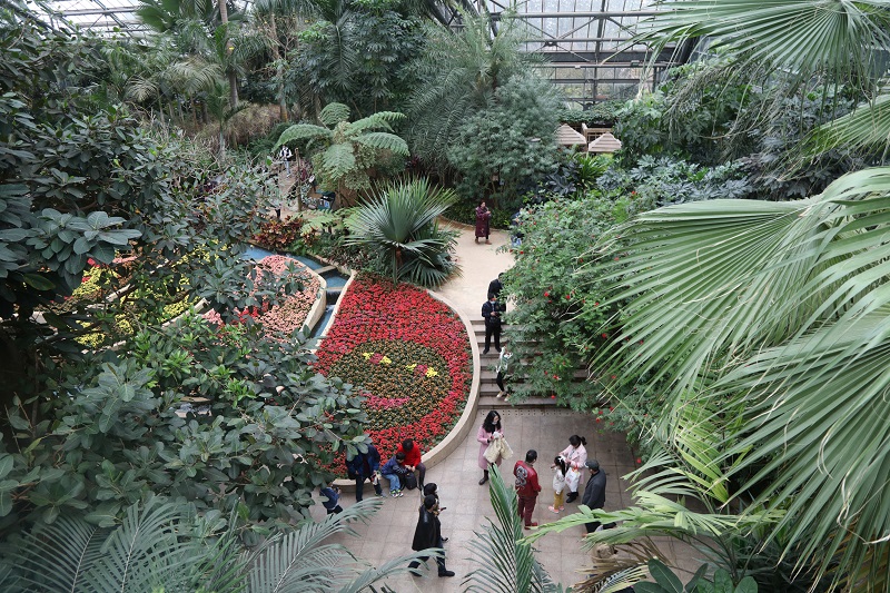 图11：重庆南山若大的植物展览温室，成为科普教育基地。唐探峰摄