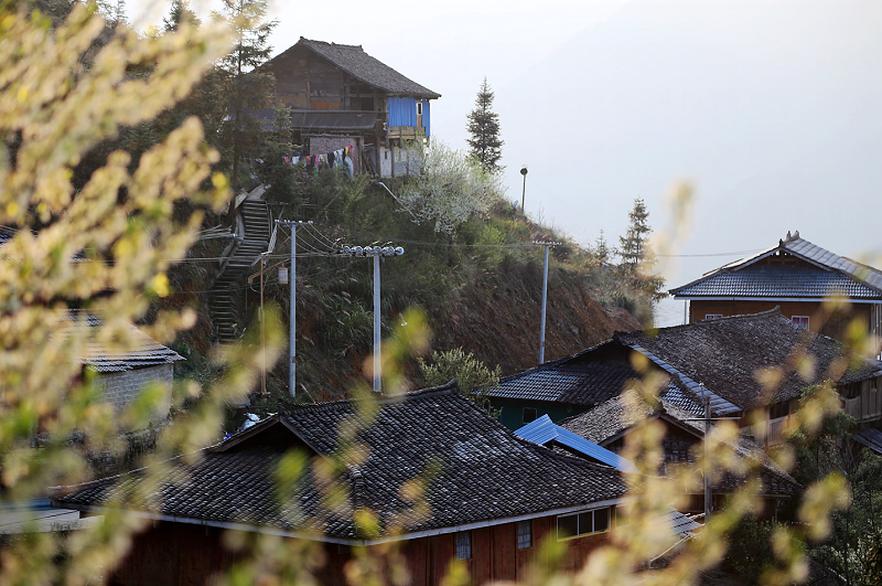 2021年3月21日，贵州省从江县加勉乡白棒村寨边满园“村”色