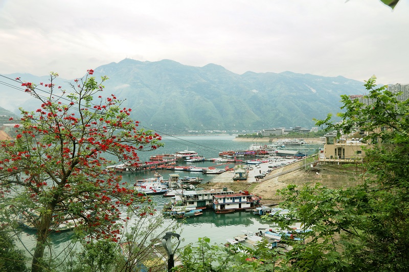 图1：巫山高峡平湖美丽港区一隅。唐探峰摄