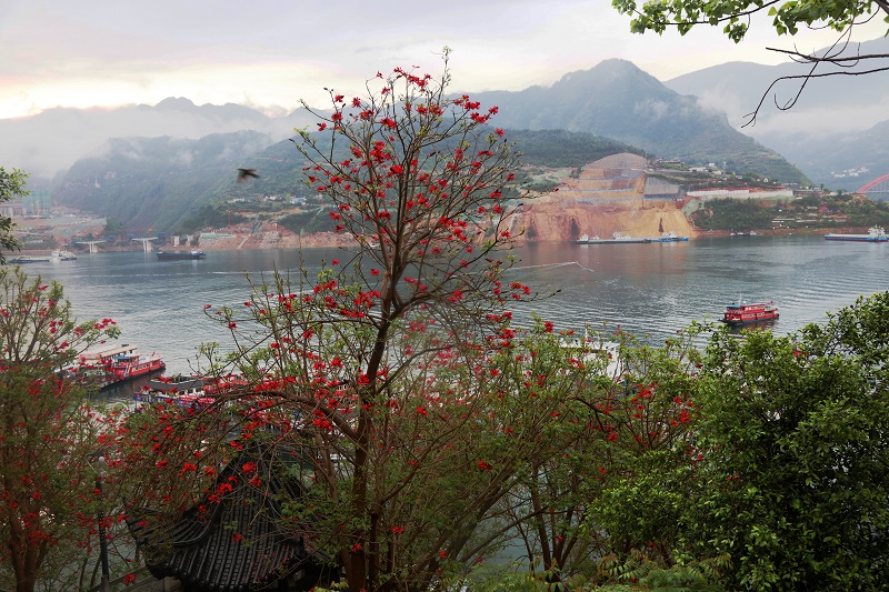 图5：巫山大宁湖港区花树映碧湖成美画。唐探峰摄