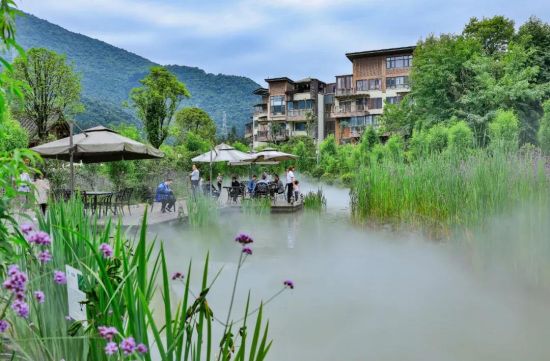 七里坪仙草园实景图