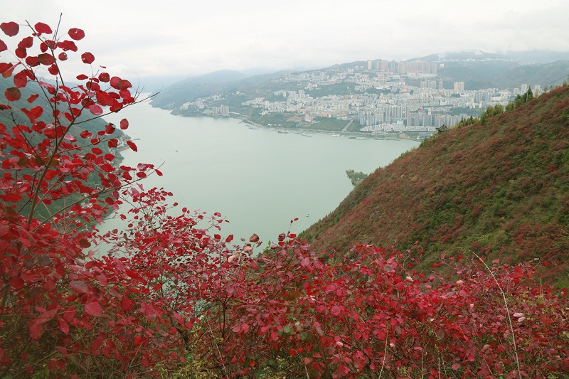 图12：县城平湖东韵。唐探峰摄于巫山县城文峰景区。