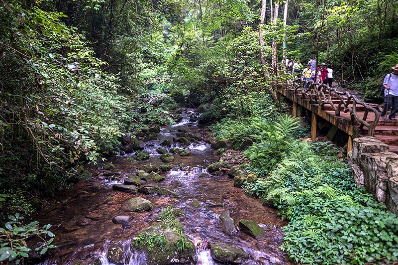 赣州崇义旅游