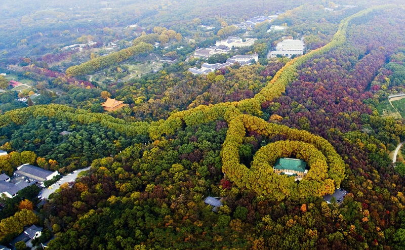 南京紫金山“最美项链”