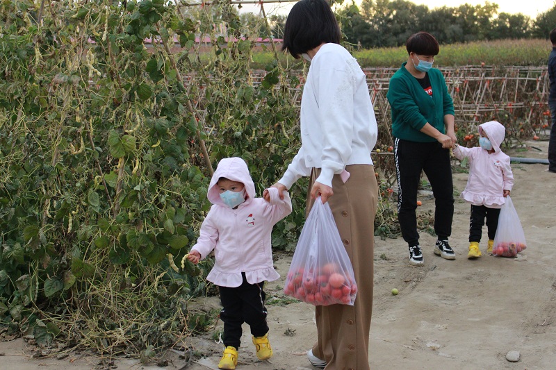 在基地采摘太空西红柿的居民