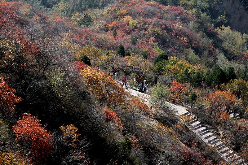 百望山森林公园