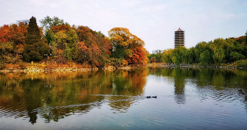 北京大学未名湖秋色