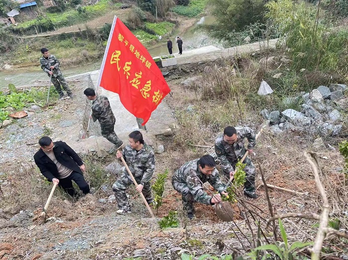 黎平县组织基干民兵植树现场 (1)