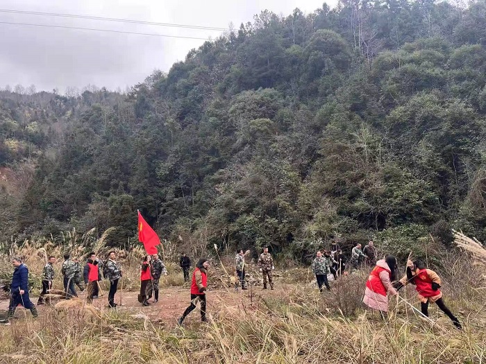 黎平县组织基干民兵植树现场 (2)