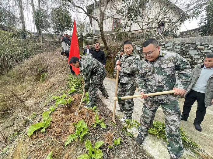 黎平县组织基干民兵植树现场 (3)