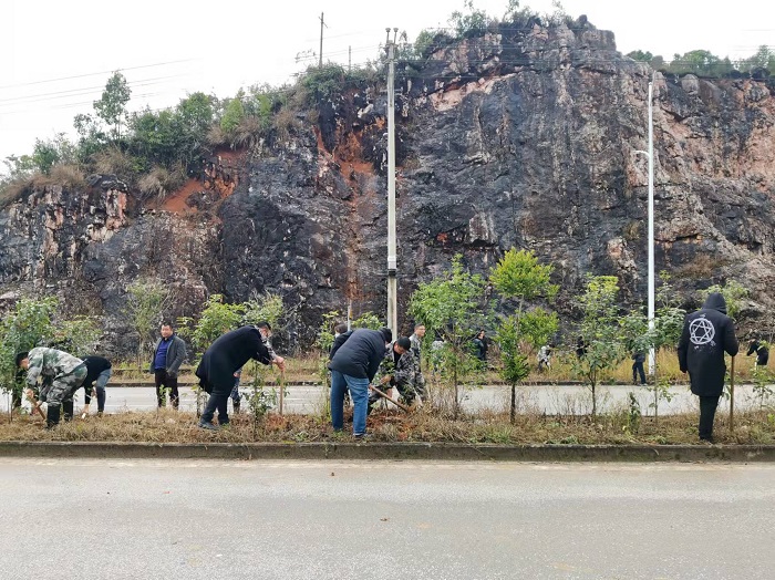 黎平县组织基干民兵植树现场