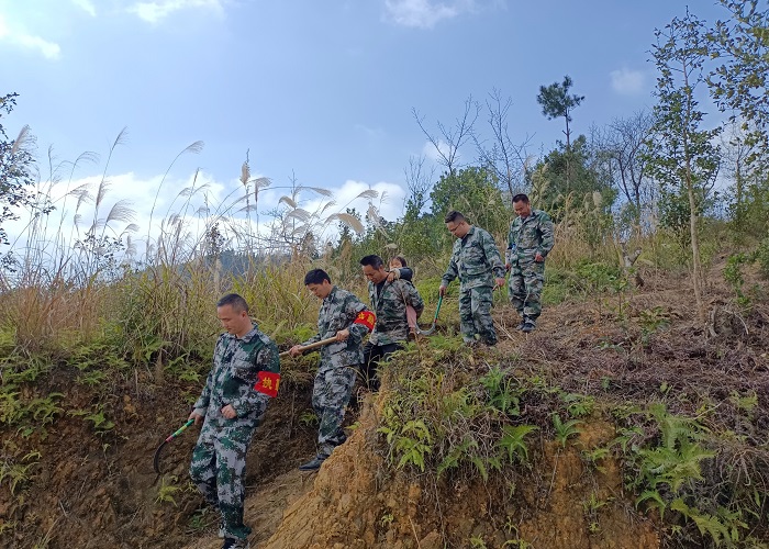 镇级巡山小队正在巡山1