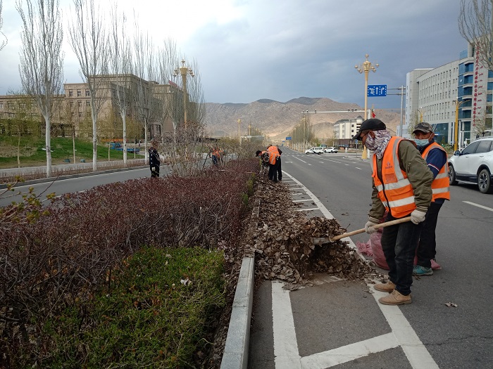 园林工人正在清理绿化带内杂草、枯叶（4月24日拍摄于阿勒泰市）。