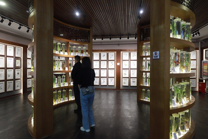 正在博物馆瓶浸制植物标本展区参观的游客。