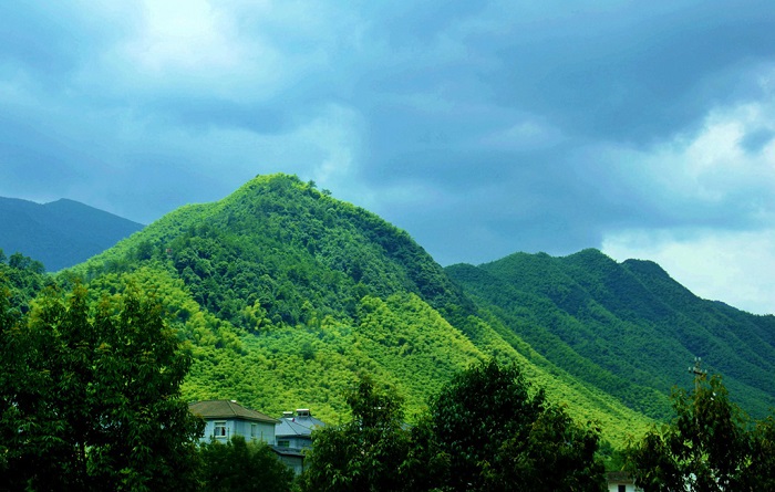 安吉龙王山秀色