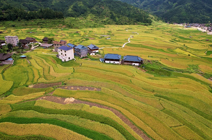 2022年8月21日，在贵州省黔东南苗族侗族自治州从江县刚边壮族乡高麻村拍摄的梯田景色。 (15)