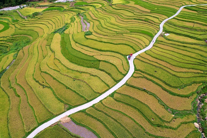 2022年8月21日，在贵州省黔东南苗族侗族自治州从江县刚边壮族乡高麻村拍摄的梯田景色。 (22)