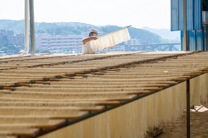 18、2022年9月5日，临近中秋，广西梧州市苍梧县京南米粉厂，工人正在抓紧晴好天气晾晒米粉。（何华文）