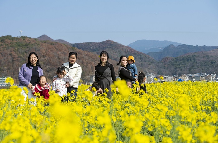 2023年2月25日，游人在贵州省黔东南苗族侗族自治州从江县洛香镇上皮林村油菜花田间赏花游玩。 (4)