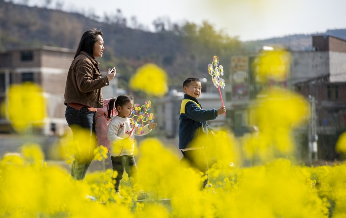 2023年2月25日，游人在贵州省黔东南苗族侗族自治州从江县洛香镇上皮林村油菜花田间赏花游玩。 (5)