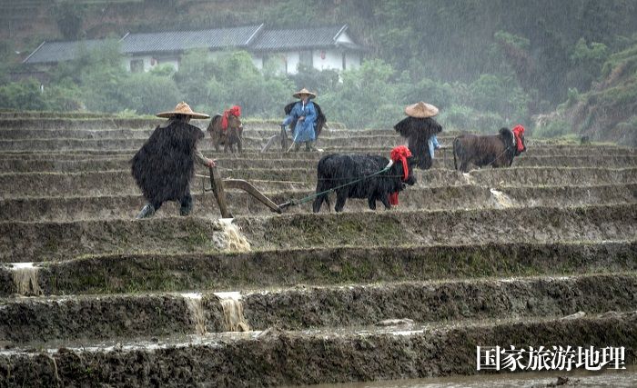 “一蓑烟雨任平生”诗意的画面重现